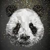 thearabianpanda